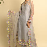 A-Line Organza Grey Kurta
