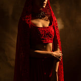 Red Gulaab Lehenga with Dupatta in Monotone